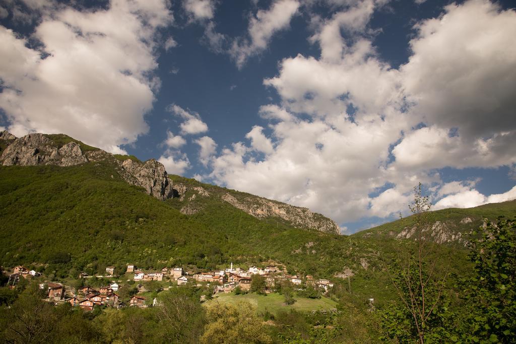 Radika View House Leilighet Galicnik Rom bilde